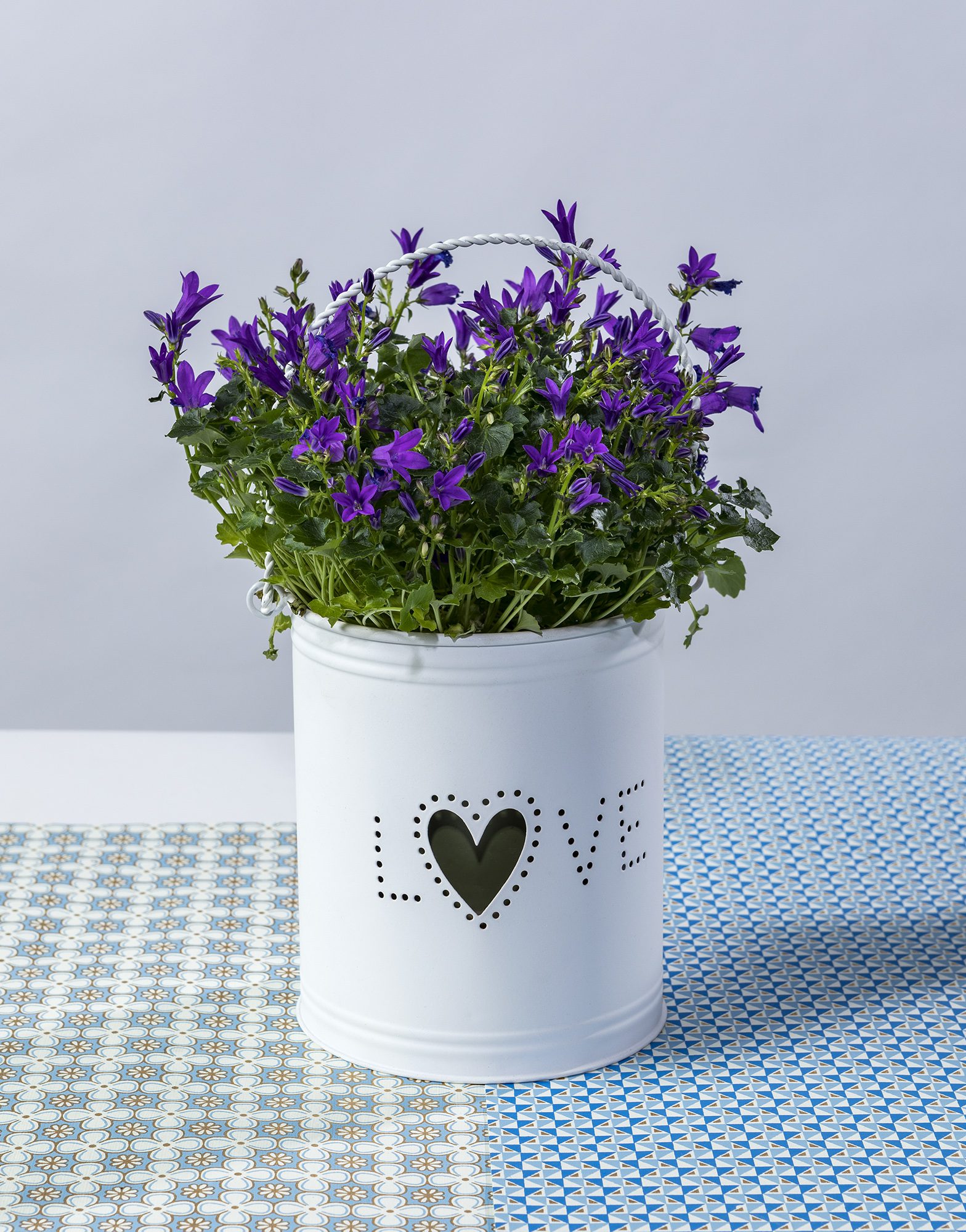 These metal plant/candle holders are versatile and can brighten up a home