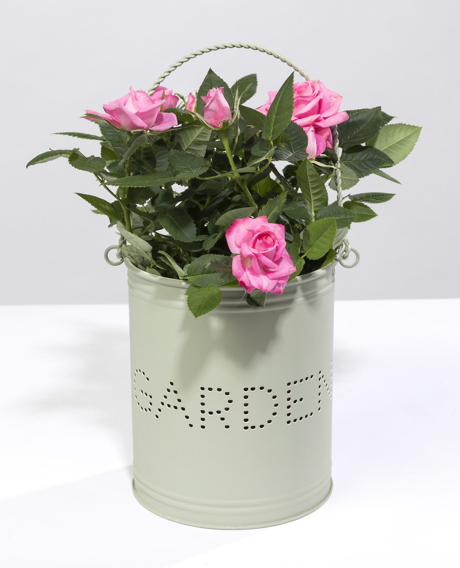 These metal plant/candle holders are versatile and can brighten up a home